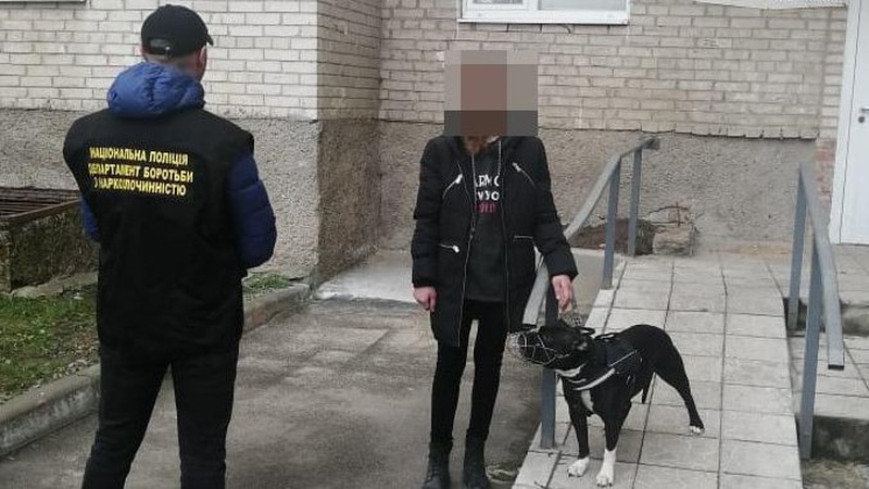 19-річна лучанка – співучасниця бізнесу із продажу наркотиків