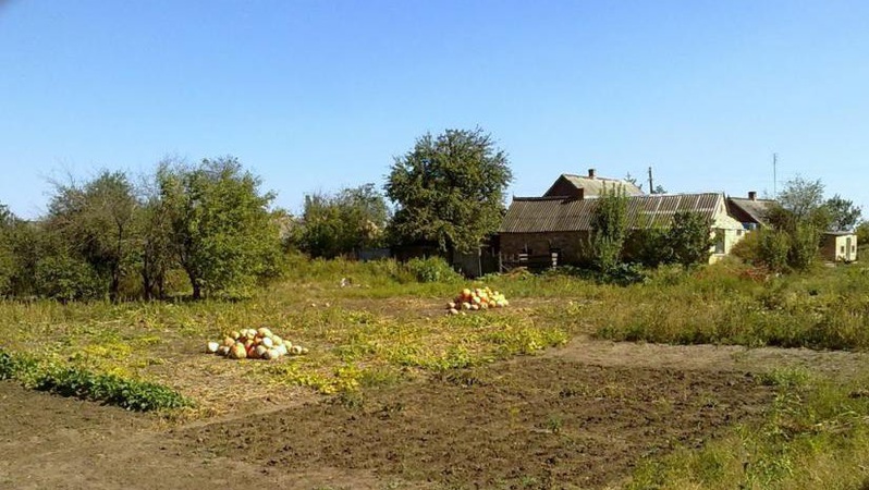 Маєш город – сплати податок: українців примусять платити за землю