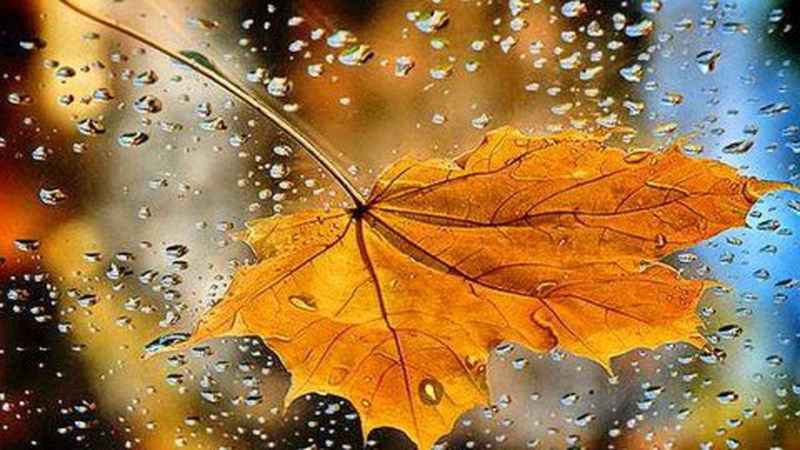 Синоптик дала прогноз на вихідні та повідомила, коли Україну заллють дощі