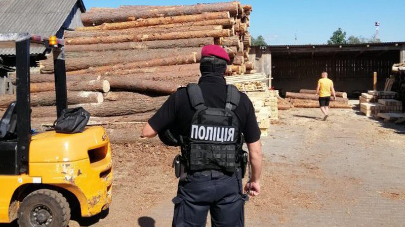 У Камінь-Каширському районі другу добу вилучають сотні кубів незаконної деревини. ФОТО