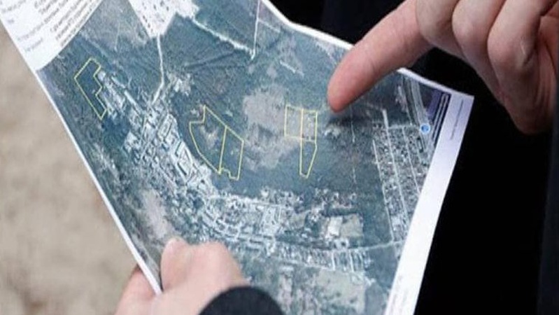 На Волині 9 гектарів земель лісового фонду незаконно віддали для сільськогосподарського використання