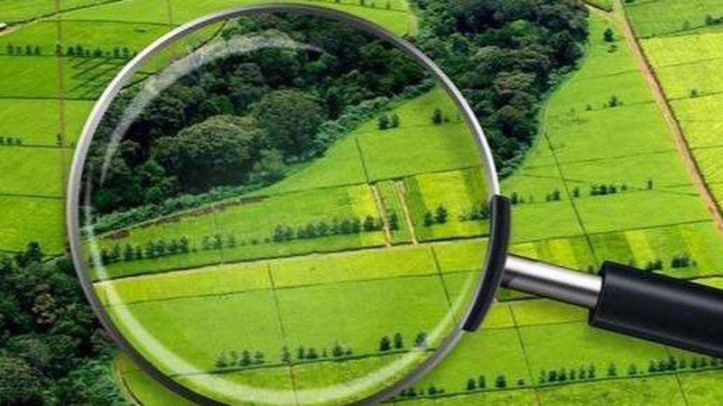 На Волині за реєстрацію трьох земельних ділянок матері покарали чиновницю Держгеокадастру