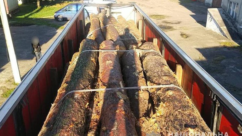 На Волині зловили крадіїв лісу, які хотіли нелегально перевезти деревину
