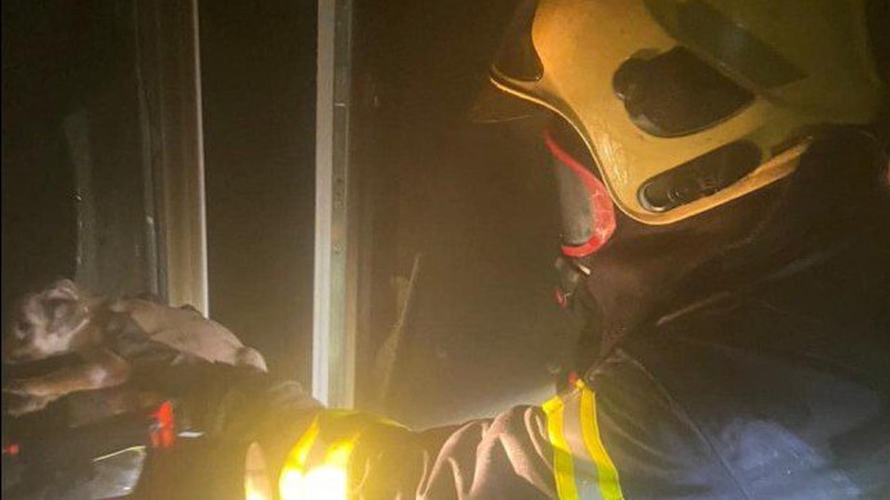 У Луцьку з пожежі врятували 5 цуценят. ФОТО