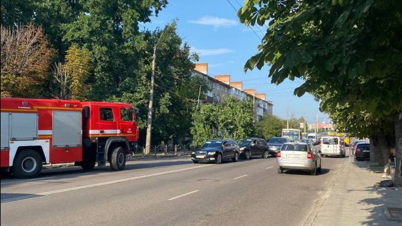 У Луцьку дерево обірвало тролейбусну лінію