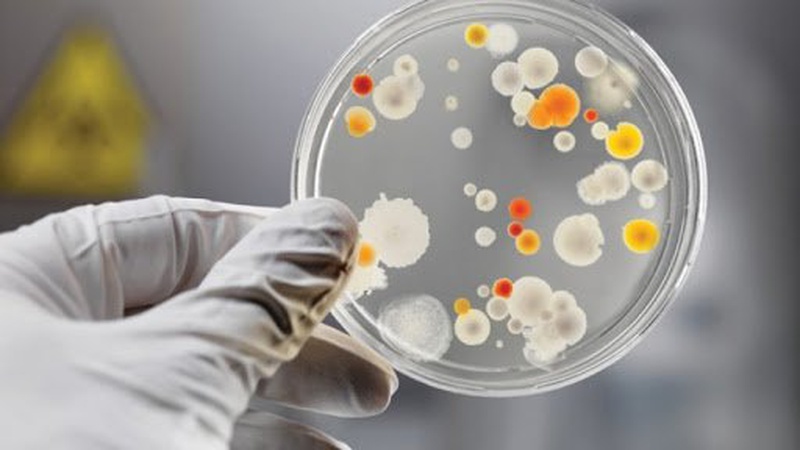 Лептоспіроз: що це та як уникнути