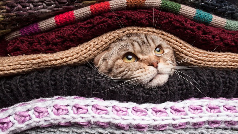 Де у Луцьку вже дали тепло: адреси