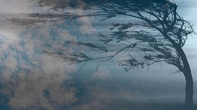 Хмарність, місцями сильні пориви вітру: прогноз погоди на 3 листопада