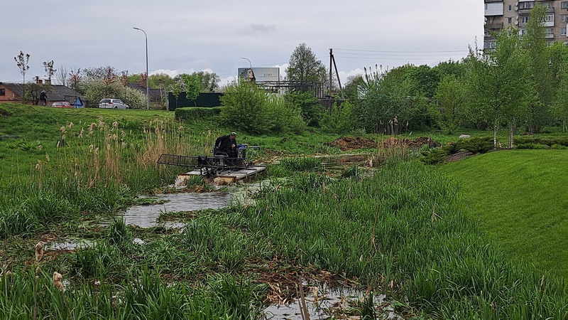 У Володимирі від рослинності чистять річку Риловиця. ФОТО