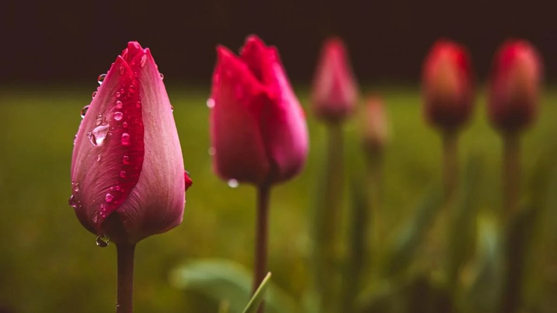 «Тепла не чекайте»: якою буде погода 10 травня