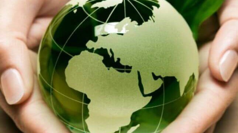 Розповіли про основні напрями природоохоронної роботи у Луцькій громаді в 2022 році