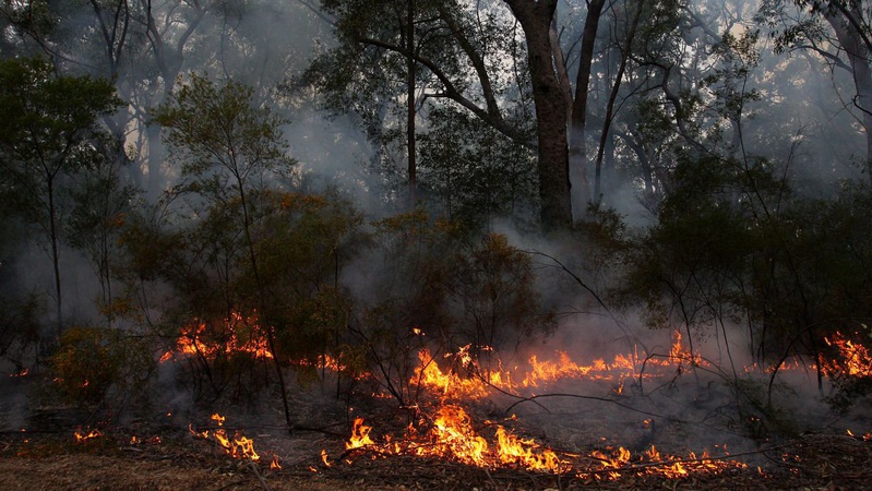 На Волині - високий рівень пожежної небезпеки
