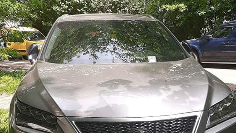 Луцькі муніципали показали «майстрів паркування». ФОТО