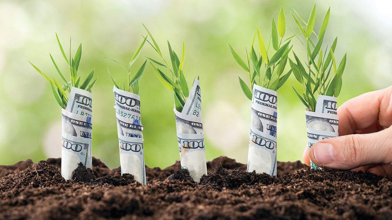 Сто днів «ринку землі»: де на Волині найбільше продали гектарів землі