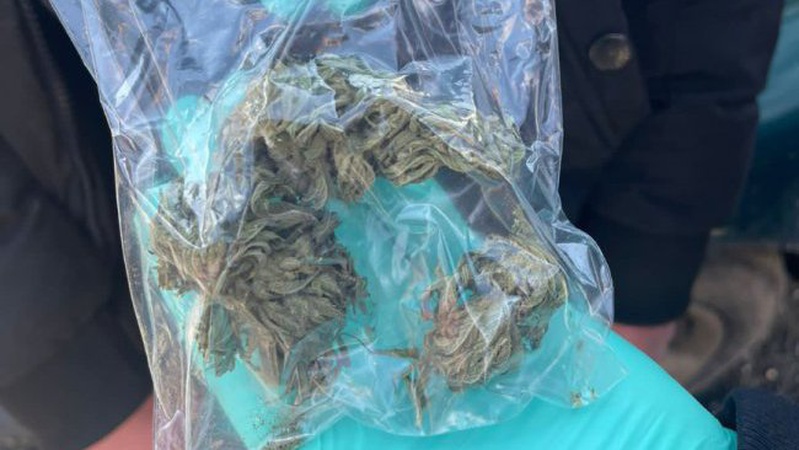 На Волині затримали 21-річного наркоторговця. ФОТО