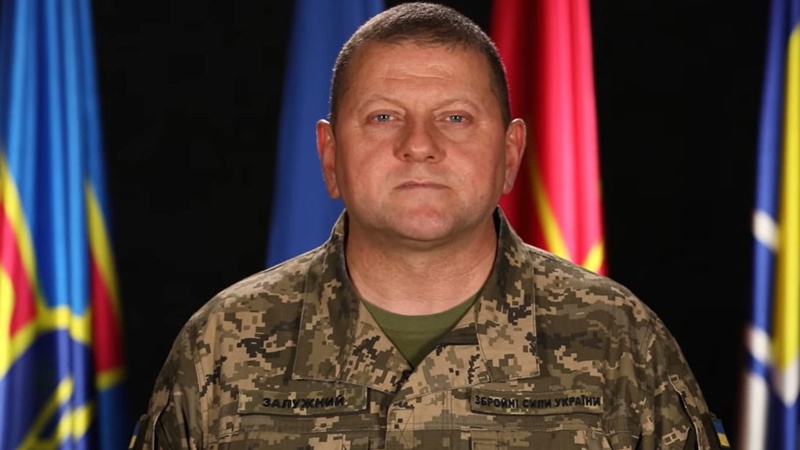 Залужний нагородив волинського забудовника