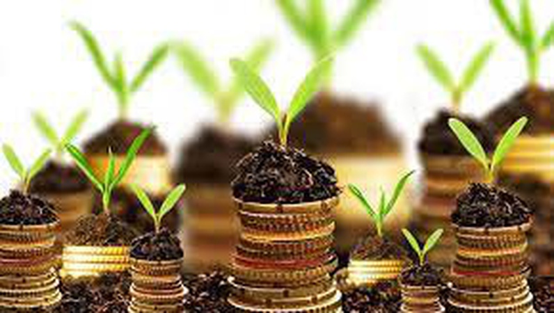 Земельні торги: у Ковелі продали дві ділянки