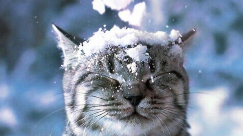 Готуйтеся до снігопадів: в Україні різко зміниться погода