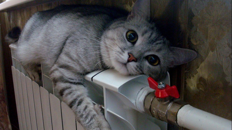 Ще 77 будинків Луцька обладнають лічильниками тепла