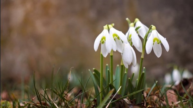 Майже весна: прогноз погоди на 28 лютого