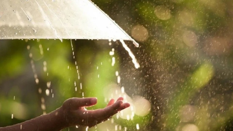Дощі, подекуди грози в низці областей: прогноз погоди на 23 травня