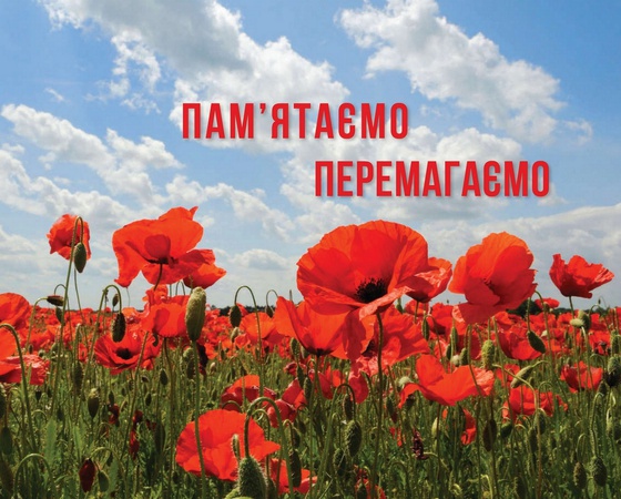Пошуковці встановили ім’я загиблого на Волині солдата Другої світової