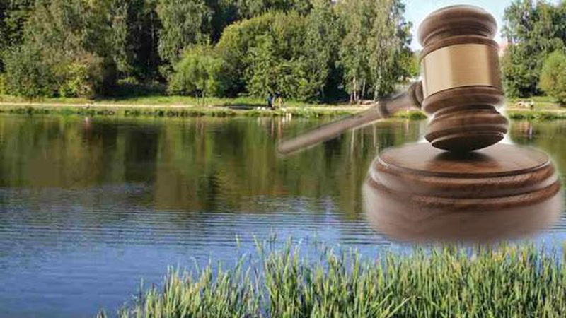 На Волині вимагають повернути громаді землі зі ставками вартістю 223 мільйони