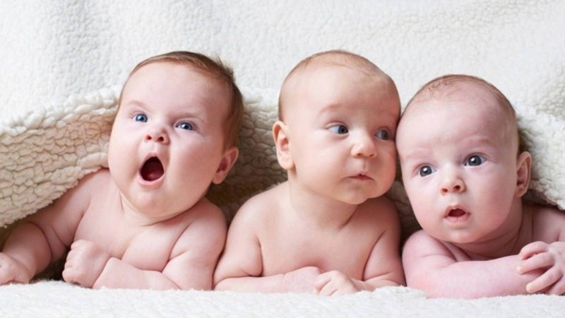 Таймасхан, Аяз Емір та Квітослава: як нововолинці називали дітей у 2022 році