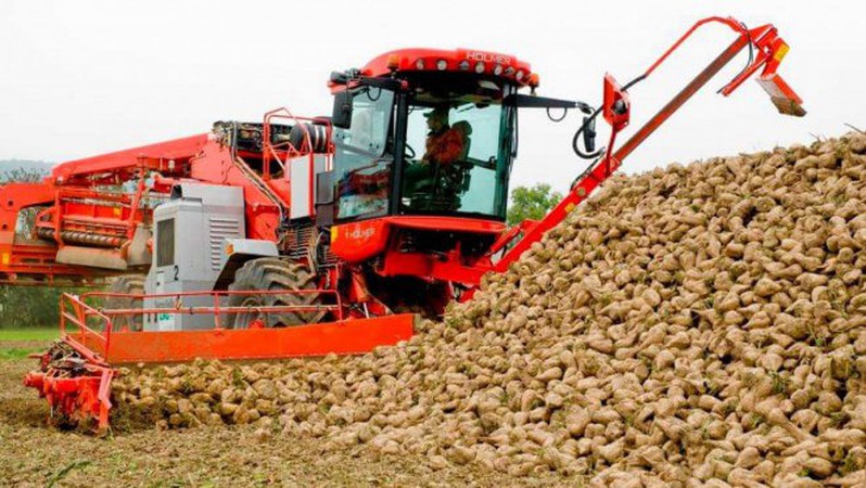 Осінньо-польові роботи на Волині – у розпалі