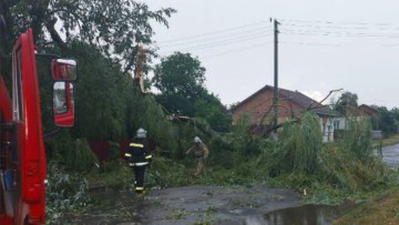 Обвал будинків, падіння дерев на господарські споруди та пожежа: як на Волині боролись із наслідками негоди