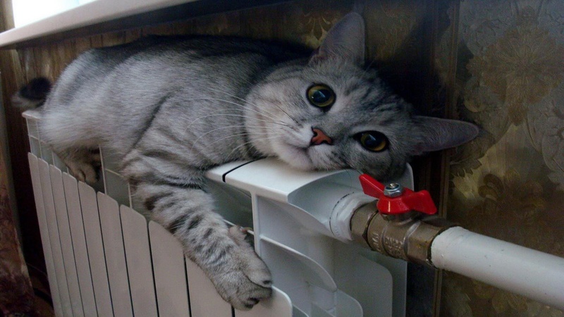 Людям надто тепло: у Ковелі призупинила подачу тепла одна котельня