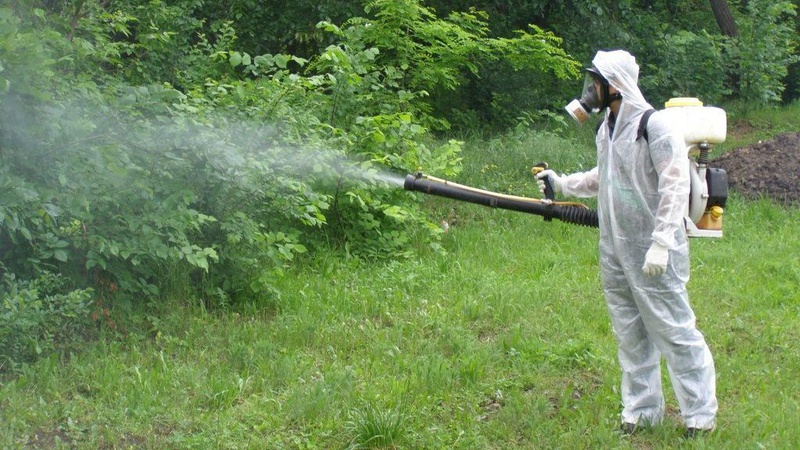 У Луцьку місця відпочинку оброблять хімією від кліщів