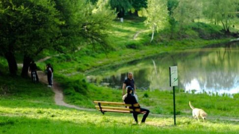 У Луцьку в парку 900-річчя пограбували чоловіка