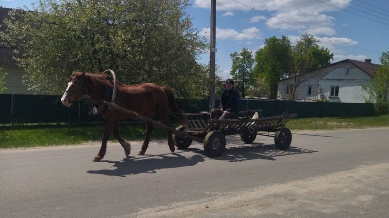 Через болото – і білорусь: як живе волинське село під боком у ворога