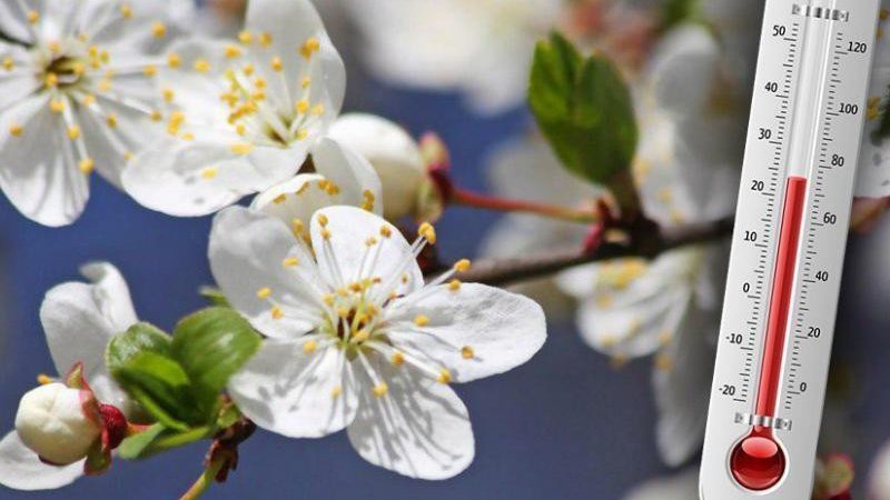 Без опадів, переважно до 20° тепла: прогноз погоди на 27 квітня