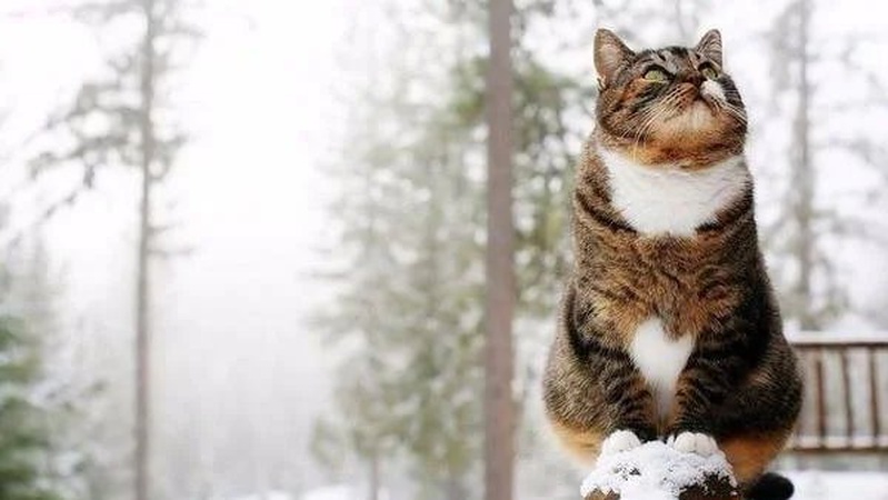 Хмарно, подекуди ожеледиця: прогноз погоди на 31 січня