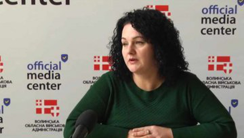 На Волині створять 5 центрів для жертв домашнього насильства