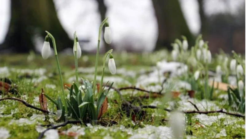 У лютому в Луцьку зафіксували новий температурний максимум