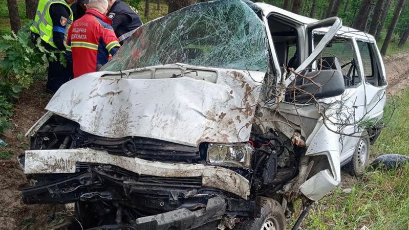 На Волині - страшна ДТП: від перевтоми водій заснув за кермом і злетів у кювет