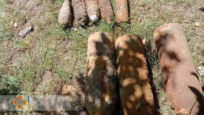 У Камінь-Каширському районі люди знайшли 17 снарядів і мін