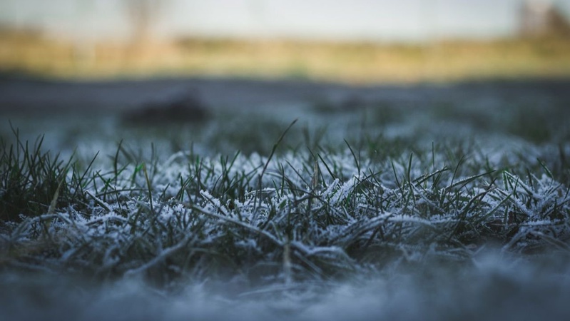 «Помаранчевий» рівень небезпеки: на Волині прогнозують нічні заморозки