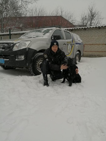 На Волині пес «здав» крадія, якого розшукувала поліція