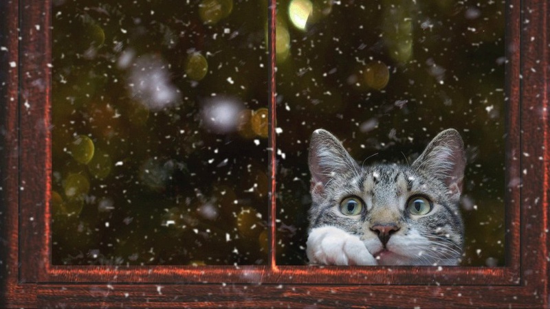 13 березня опади очікуються лише на заході країни