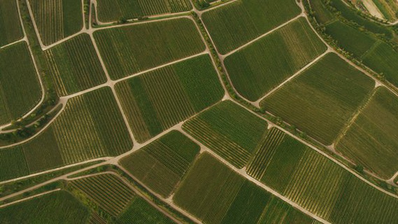 Скільки коштує гектар землі на Волині