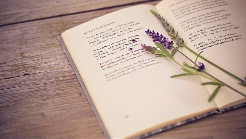 У Ковелі проведуть ювілейний вечір поезії