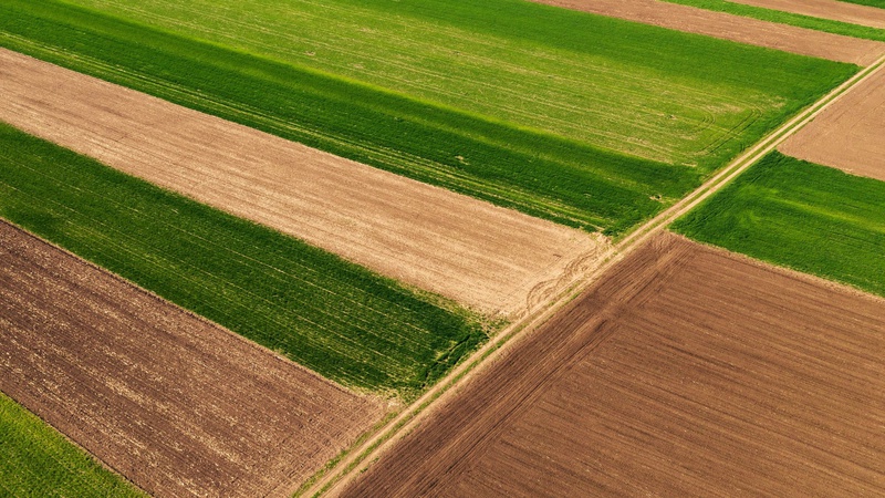 На Волині прокурори вимагають конфіскувати 17 земельних ділянок у громадян росії
