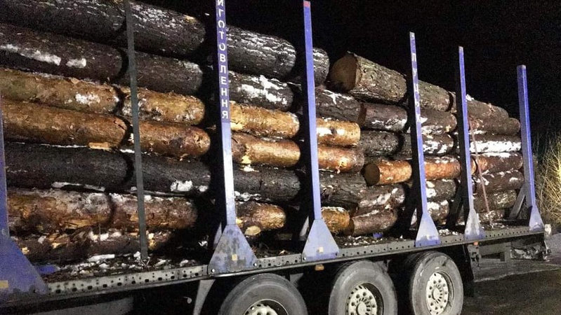 Волинянина упіймали в сусідній області з МАЗом «лівої» соснини