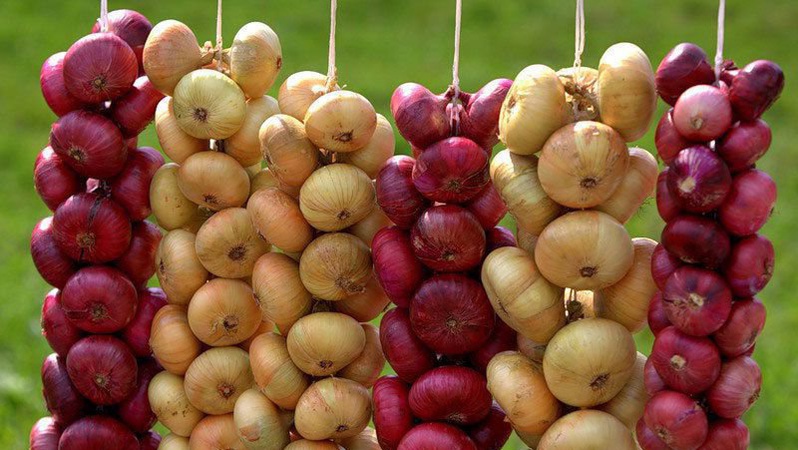 «Ми не розбійники», – бізнесмен про наїзд на гуртовиків, парковки і рейди мунварти. ВІДЕО