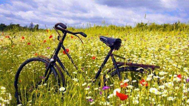 Яким в Україні буде літо-2022: прогноз синоптика до кінця серпня