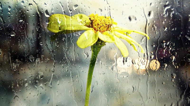 Синоптики прогнозують дощі та температурні «гойдалки»